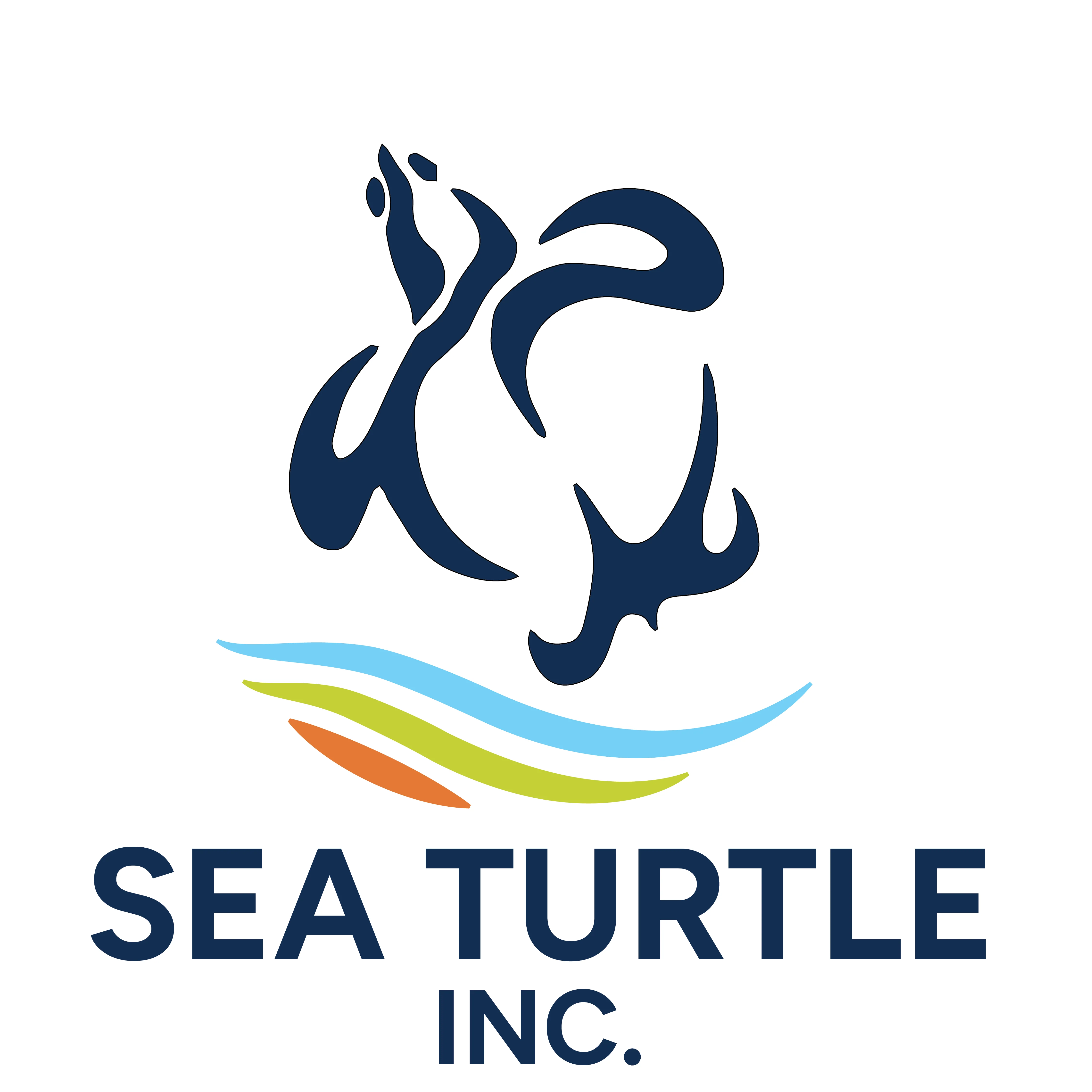 Sea Turtle, Inc.